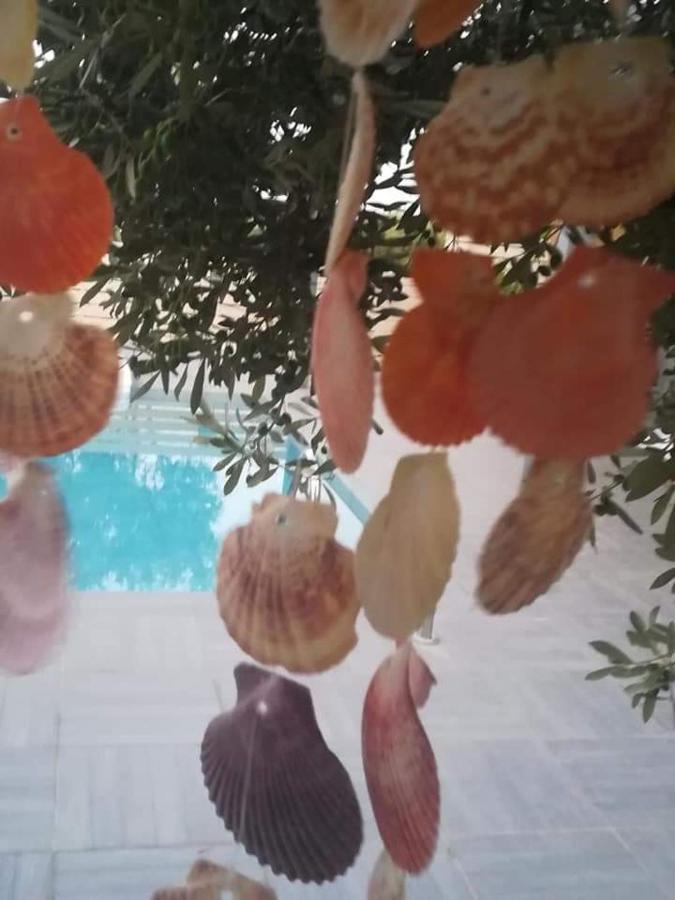 Dreamcatcher Vlachata エクステリア 写真